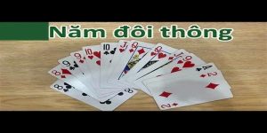 5 đôi thông chặt được gì? Cùng tìm hiểu với Daga88