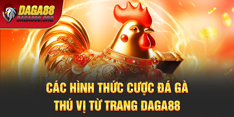 Các hình thức cược đá gà thú vị từ trang Daga88