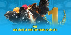 hi88 nhà cái đá gà trực tiếp