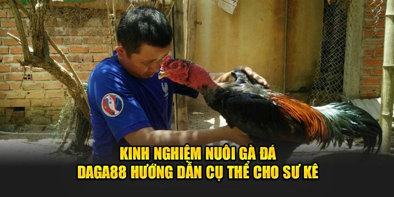 kinh nghiệm nuôi gà đá