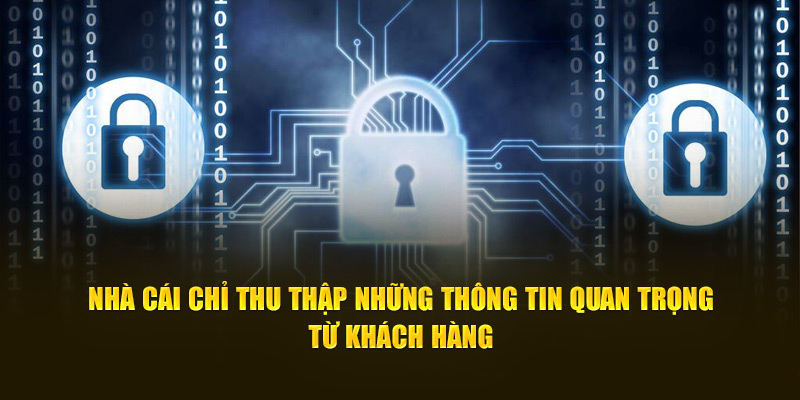 Nhà cái chỉ thu thập những thông tin quan trọng từ khách hàng