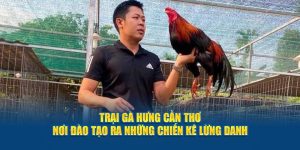 trại gà Hưng Cần Thơ